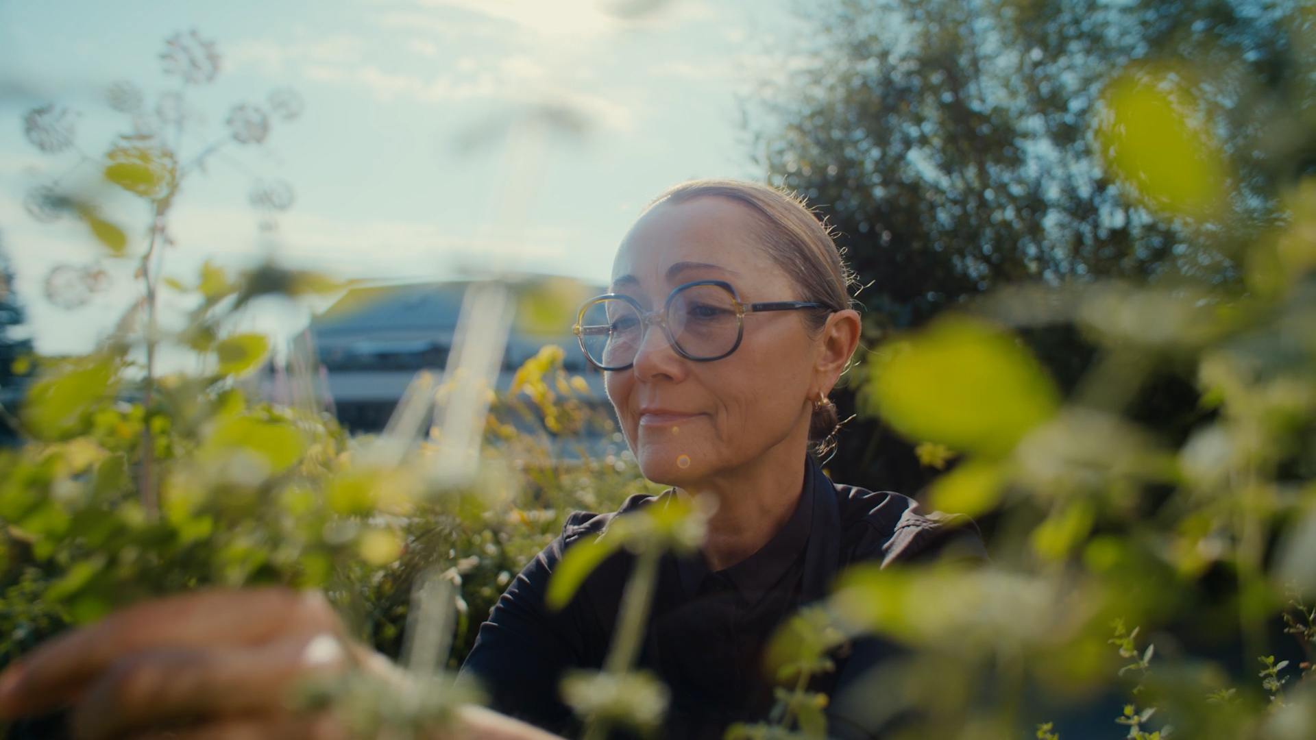 Swiss-SToS-2025-stills-14